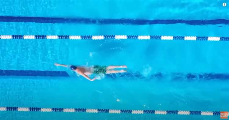 Обучение и прохождение специализированных курсов судейства в плавании