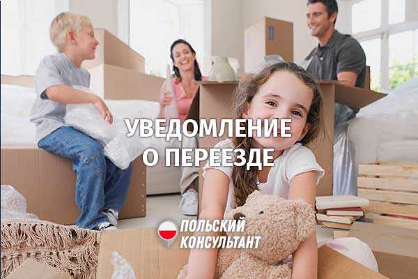 Что указать в уведомлении, чтобы избежать возврата документов