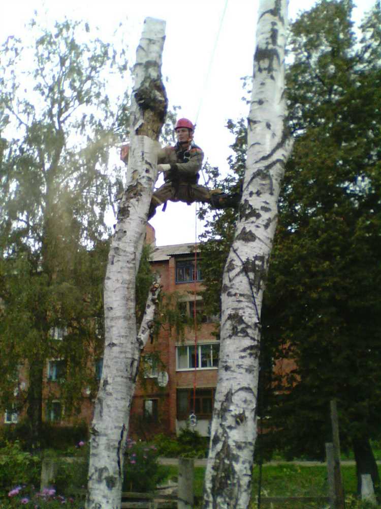 Какие документы и доказательства приложить к заявлению