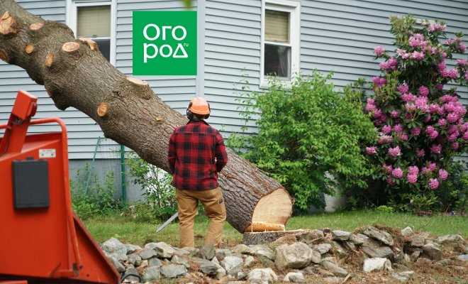 В какие сроки администрация обязана рассмотреть обращение
