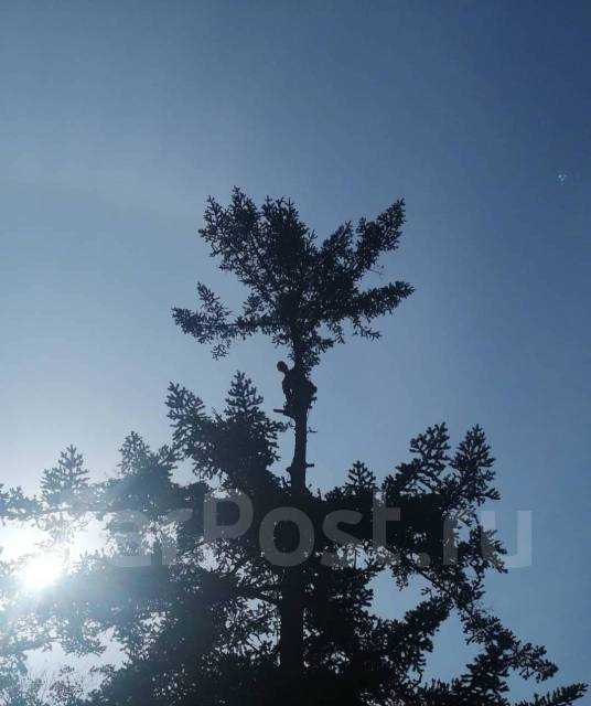 Как составить письменное обращение в администрацию