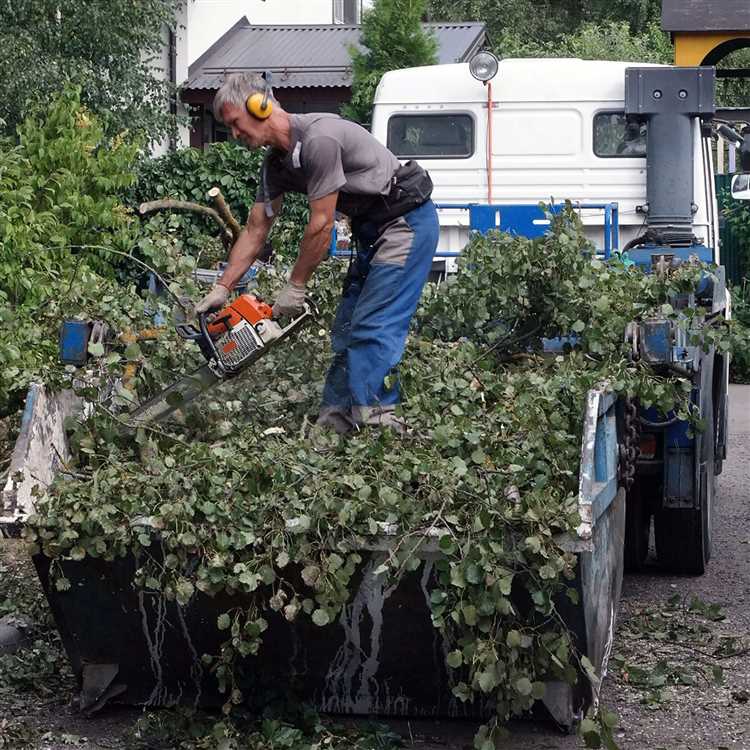 Как заставить администрацию спилить аварийное дерево Как заставить администрацию спилить аварийное дерево