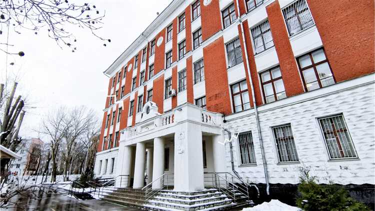 Роль профильных предметов в образовательном пути после колледжа