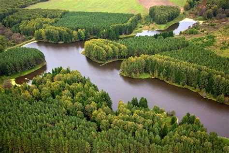 Какой регион республики марий эл Какой регион республики марий эл