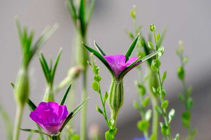 Как узнать дату с помощью командной строки на Windows