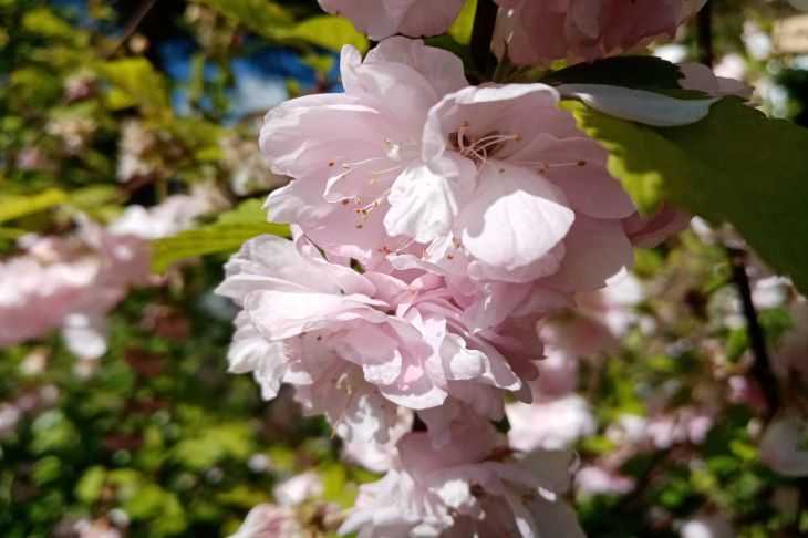 Как синхронизировать дату и время на устройствах с разными ОС