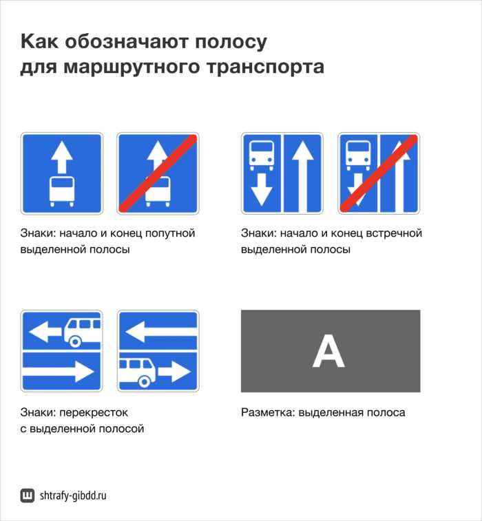 Штраф для водителей такси и каршеринга: есть ли отличия