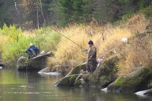 Какой штраф за ловлю сетями Какой штраф за ловлю сетями