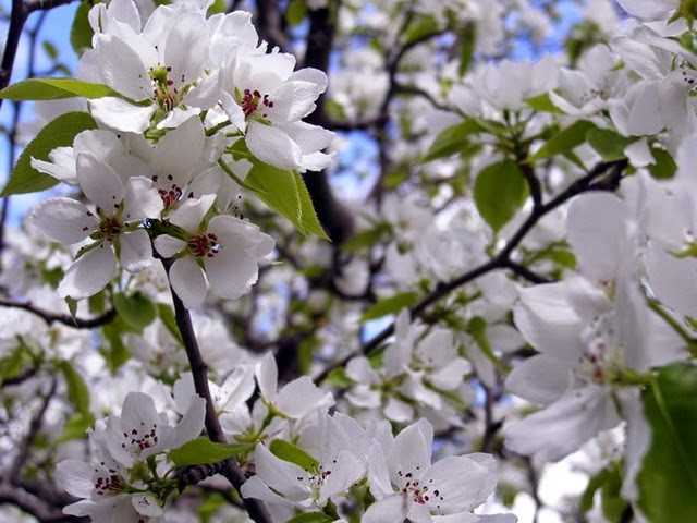 Июнь и подготовка к летнему отпуску
