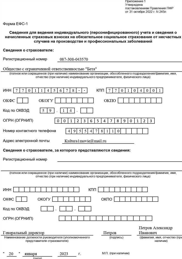 Какой страховой номер указывать в ефс 1 Какой страховой номер указывать в ефс 1