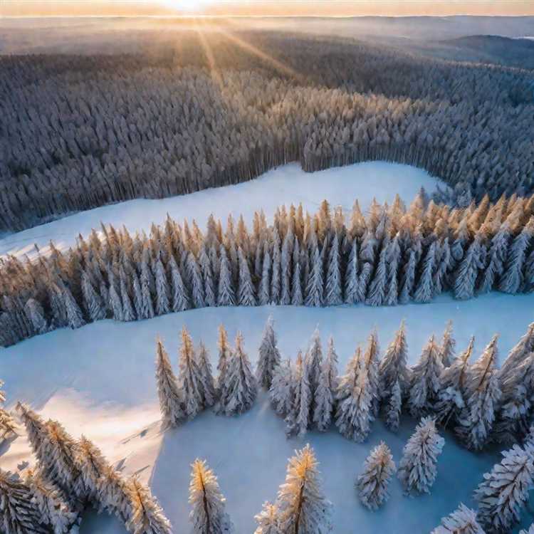 Выбор участка для рубки с учетом лесоустроительных данных