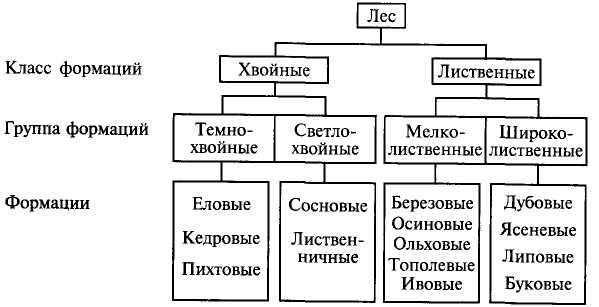 Организация и техника проведения лесозаготовительных работ