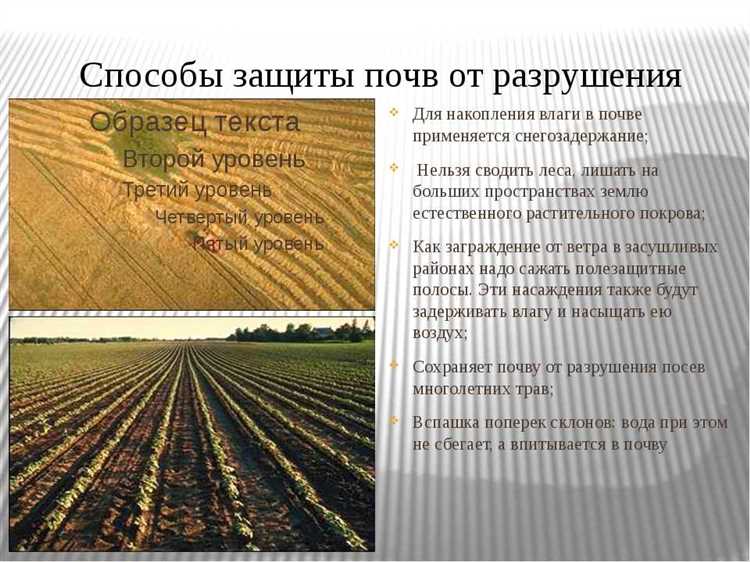 Сопутствующее использование древесных и недревесных ресурсов