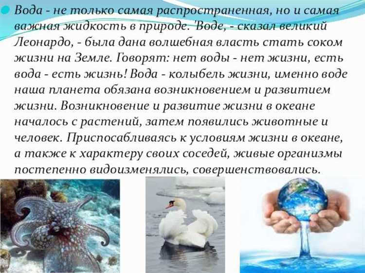 Важно помнить, что при установлении срока важно правильно интерпретировать начало и конец периода. Например, если срок начинается с 1 января, то его окончание будет на 31 декабря. В случае, когда срок отсчитывается от конкретной даты, он может быть пересчитан в зависимости от дней месяца или праздников, не являющихся рабочими.