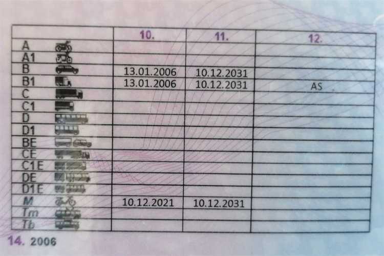 Категория l водительских прав что