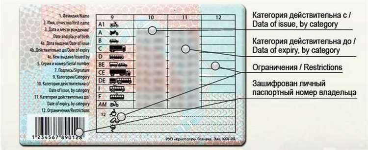 Можно ли управлять квадрициклом с категорией B1