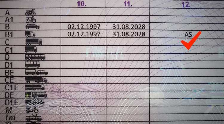 Какие транспортные средства входят в категорию B1