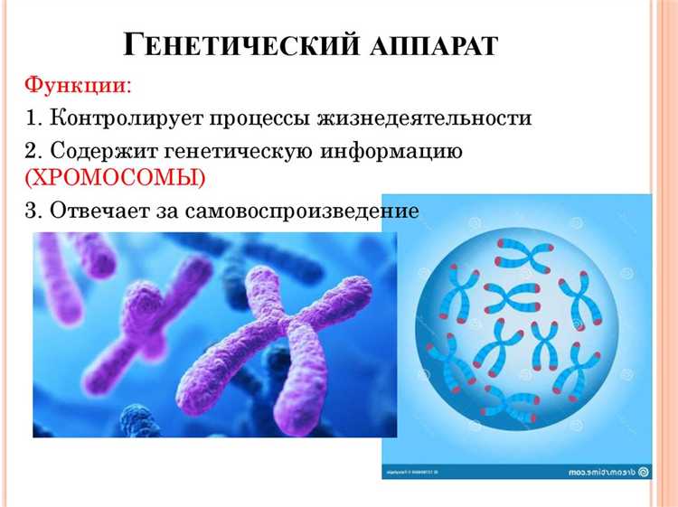 Расположение клетки в судебном помещении и его значение