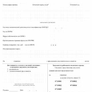 Часто допускаемые ошибки при составлении формы КНД 1166007