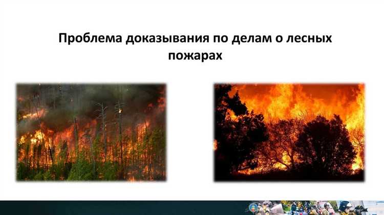 Особенности оценки доказательств в делах с отсутствием прямых улик