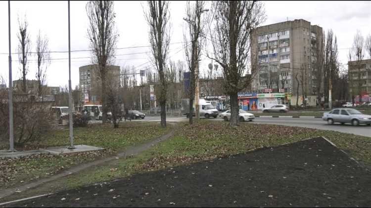 Какой опыт уже есть в других странах: примеры внедрения QR кодов