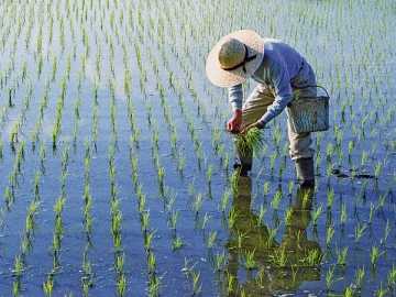 Правила пересчёта расходов на дату оплаты и дату списания