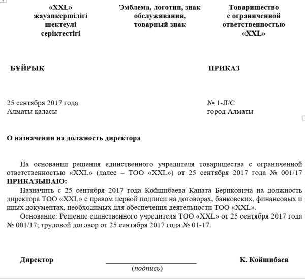 Временное исполнение обязанностей при отсутствии директора