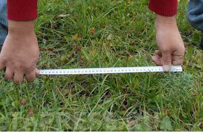 Подача заявления несколькими сособственниками при долевой собственности