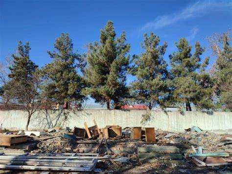 Роль руководителя учреждения в обеспечении санитарной безопасности