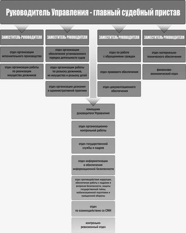 Особенности проверки деятельности приставов региональными властями