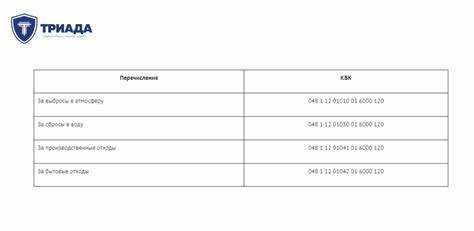 Когда индивидуальные предприниматели обязаны уплачивать экологические сборы