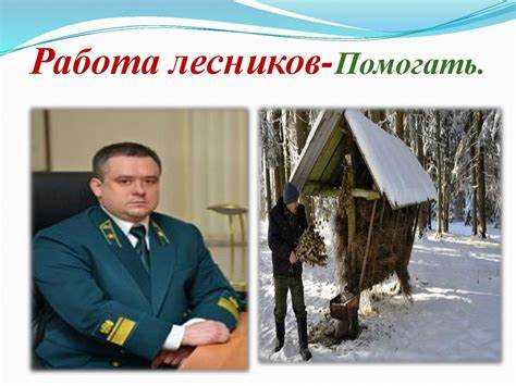 Правовые основы охраны лесов в России