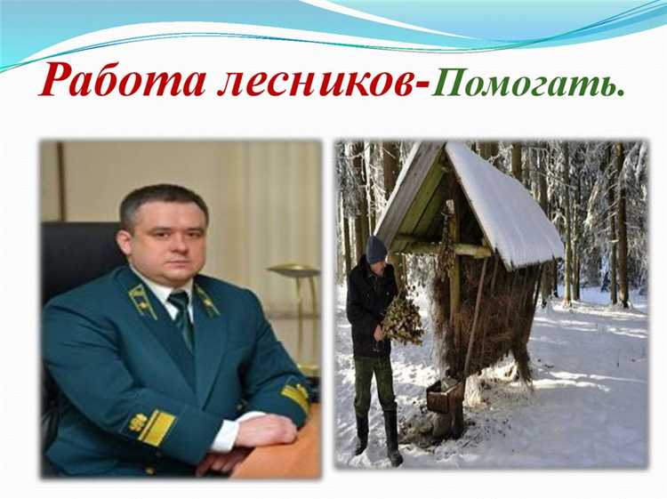 Ответственность за нарушения законодательства в области лесов