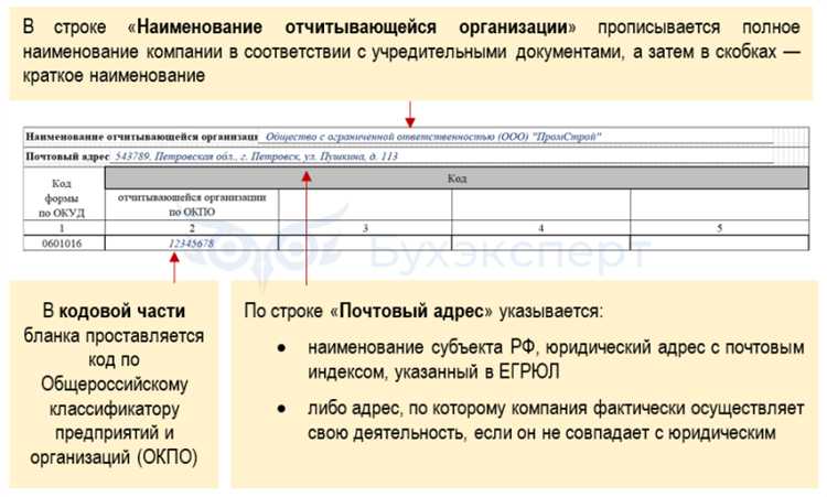 Какие документы необходимы для заполнения сведений МП МИКРО НАТУРА