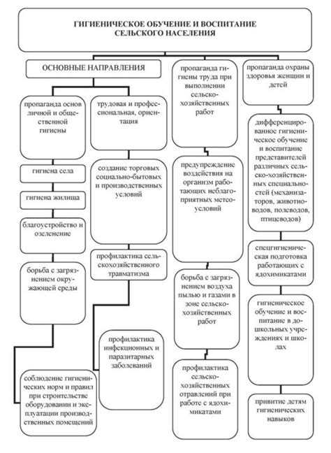 Организация просветительской работы по гигиене в образовательных учреждениях