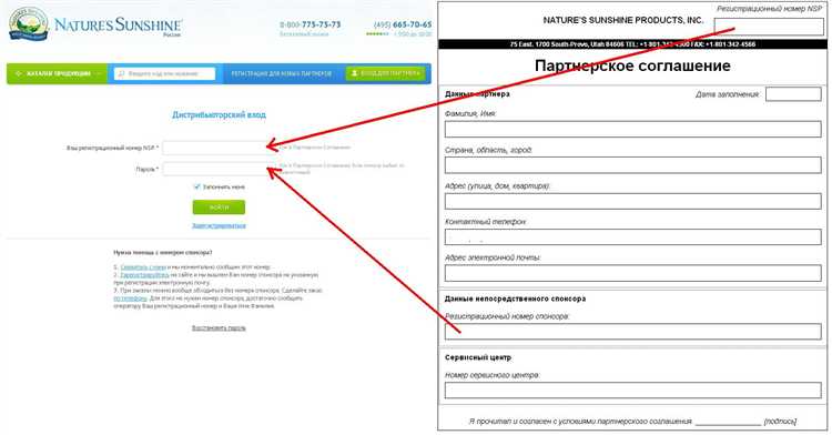 Процедура подключения и начала работы с НЭСП без идентификации д