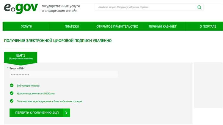 Типичные проблемы и способы их решения при использовании НЭСП без идентификации д