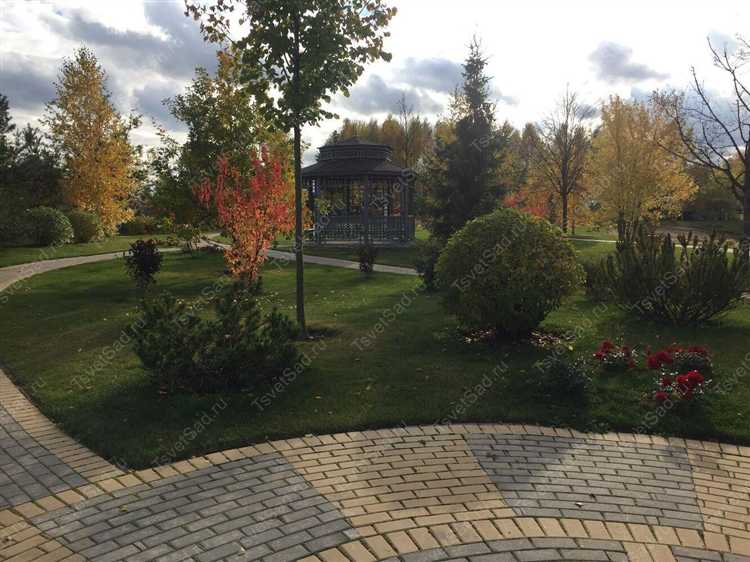 Объекты, подлежащие патентованию в сфере ландшафтного благоустройства