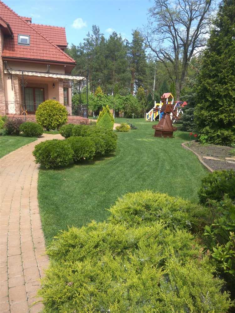 Правила оформления чертежей и схем для патентного досье