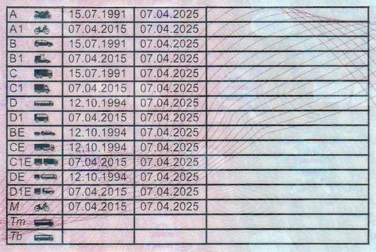 Как подготовиться к теоретическому экзамену на водительские права