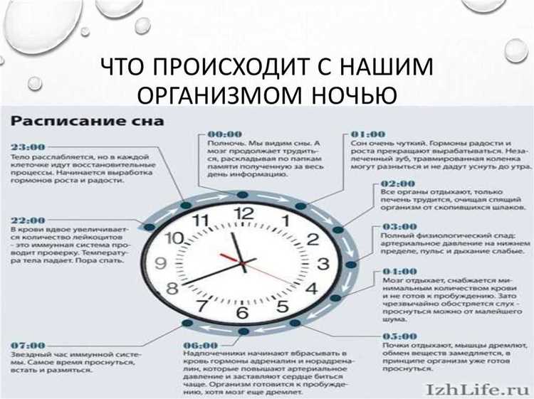 Какую роль играет форма обучения в допустимом количестве долгов