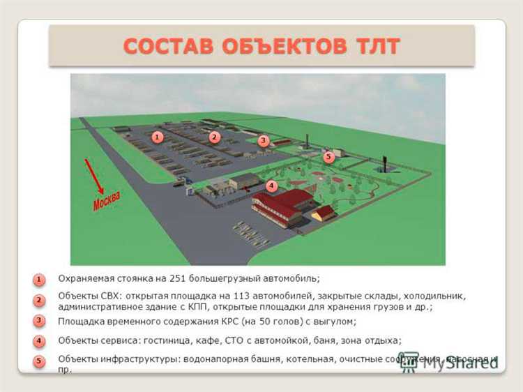 Чем отличается СВХ от таможенного склада